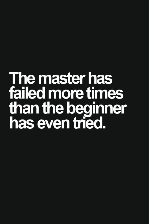 The master has failed more times than the beginner has even tried.