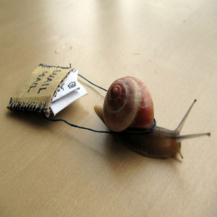 Snail carrying a letter